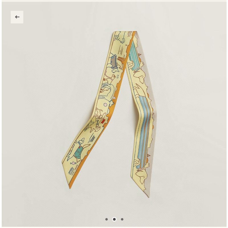 Hermes Silk Twilly 